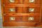 Vintage Burr Yew Military Campaign Sideboard, Image 6