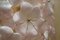 Große Italienische Blumen Wandlampen aus Muranoglas, 2 . Set 18