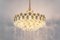 Large Gilt Brass and Crystal Glass Chandelier attributed to Palwa, Germany, 1960s 12