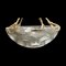 Ceiling Lamp attributed to René Lalique Fies, 1926 3