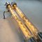 Industrielle Vintage Flammensichere Vintage Wandlampe mit Edison Led Röhren, 1979 13