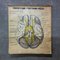 Vintage Anatomie Poster, 3er Set 2