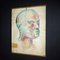 Poster anatomico vintage dipinto a mano, Immagine 2