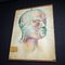 Vintage Hand Painted Anatomic Poster of Human Face 3