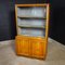 Vintage Display Cabinet with Gray Inside, 1950s 3