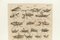 Französischer Künstler, Insekten, Gravur, 17. Jahrhundert, gerahmt 4