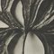 Karl Blossfeldt, Flower, Black & White Photogravure, 1942, Framed 7