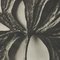 Karl Blossfeldt, Flower, Black & White Photogravure, 1942, Framed, Image 7