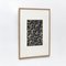 Karl Blossfeldt, Flower, Black & White Photogravure, 1942, Framed 3