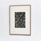 Karl Blossfeldt, Flower, Black & White Photogravure, 1942, Framed, Image 2