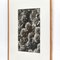 Karl Blossfeldt, Flower, Black & White Photogravure, 1942, Gerahmt 5