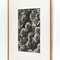 Photogravure Karl Blossfeldt, Fleur, Noir & Blanc, 1942, Encadrée 5