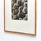 Karl Blossfeldt, Flower, Black & White Photogravure, 1942, Framed 6