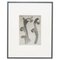 Photogravure Karl Blossfeldt, Fleur, Noir & Blanc, 1942, Encadrée 1