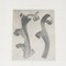 Karl Blossfeldt, Flower, Black & White Photogravure, 1942, Framed 5