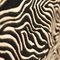Goldfarbener Zebra Animal Print Collection Teppich Wild Ivy von Gianni Versace, 1980er 6