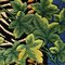 Tappeto Wild Ivy dorato di Gianni Versace, anni '80, Immagine 12