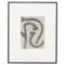 Karl Blossfeldt, Flower, Black & White Photogravure, 1942, Framed 1