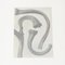 Karl Blossfeldt, Fiore, bianco e nero, 1942, Incorniciato, Immagine 5