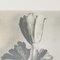 Karl Blossfeldt, Fiore, bianco e nero, 1942, Incorniciato, Immagine 6