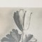 Karl Blossfeldt, Flower, Black & White Photogravure, 1942, Framed, Image 6