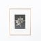 Karl Blossfeldt, Flower, Black & White Photogravure, 1942, Framed, Image 2