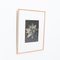 Karl Blossfeldt, Fiore, bianco e nero, 1942, Incorniciato, Immagine 4