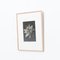 Karl Blossfeldt, Flower, Black & White Photogravure, 1942, Framed, Image 3