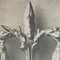 Photogravure Karl Blossfeldt, Fleur, Noir & Blanc, 1942, Encadrée 6