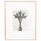 Karl Blossfeldt, Flower, Black & White Photogravure, 1942, Framed, Image 1