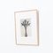 Karl Blossfeldt, Flower, Black & White Photogravure, 1942, Framed 3