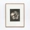 Karl Blossfeldt, Flower, Black & White Photogravure, 1942, Gerahmt 4