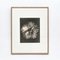 Photogravure Karl Blossfeldt, Fleur, Noir & Blanc, 1942, Encadrée 4