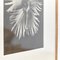 Karl Blossfeldt, Flower, Black & White Photogravure, 1942, Framed 10