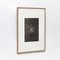 Karl Blossfeldt, Flower, Black & White Photogravure, 1942, Framed 3