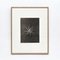 Karl Blossfeldt, Flower, Black & White Photogravure, 1942, Framed 5