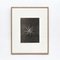 Karl Blossfeldt, Flower, Black & White Photogravure, 1942, Framed, Image 5