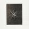 Karl Blossfeldt, Fiore, bianco e nero, 1942, Incorniciato, Immagine 4