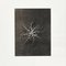 Karl Blossfeldt, Flower, Black & White Photogravure, 1942, Framed, Image 4