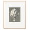 Karl Blossfeldt, Flower, Black & White Photogravure, 1942, Framed 1