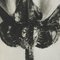 Karl Blossfeldt, Flower, Black & White Photogravure, 1942, Gerahmt 12