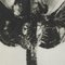 Photogravure Karl Blossfeldt, Fleur, Noir & Blanc, 1942, Encadrée 7