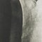 Karl Blossfeldt, Fiore, bianco e nero, 1942, Incorniciato, Immagine 11