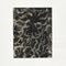 Photogravure Karl Blossfeldt, Fleur, Noir & Blanc, 1942, Encadrée 4