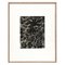 Karl Blossfeldt, Flower, Black & White Photogravure, 1942, Framed 1