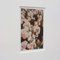 David Urbano, The Rose Garden No. 40, 2017, Giclée Print, Framed 7