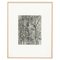 Karl Blossfeldt, Flower, Black & White Photogravure, 1942, Framed 1