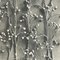 Karl Blossfeldt, Fiore, bianco e nero, 1942, Incorniciato, Immagine 5