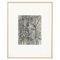 Karl Blossfeldt, Flower, Black & White Photogravure, 1942, Gerahmt 14