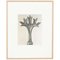 Karl Blossfeldt, Flower, Black & White Photogravure, 1942, Framed, Image 11